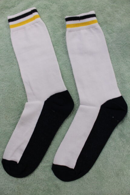 The Shriram Millennium School socks