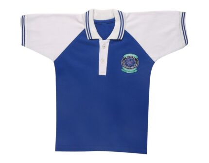 Vishwa Bharati Public School T-shirt (Blue)